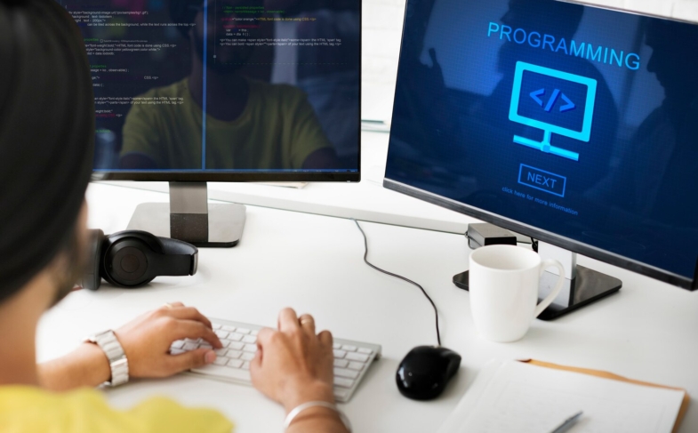 Software Reverse Engineering Services