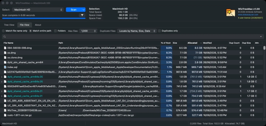 Finding the Largest Files