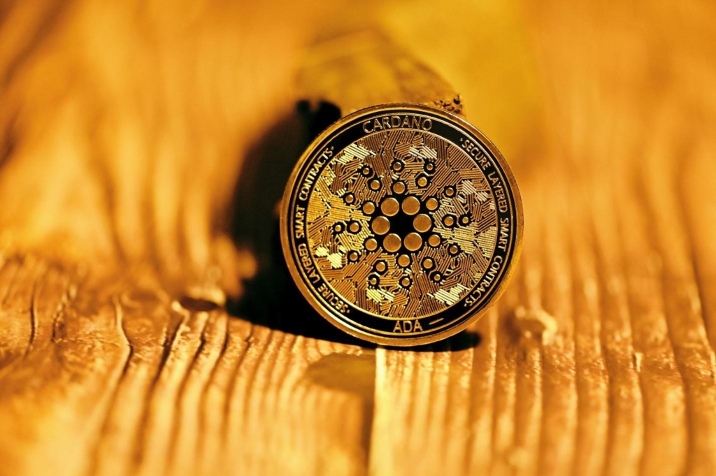 Cardano Network