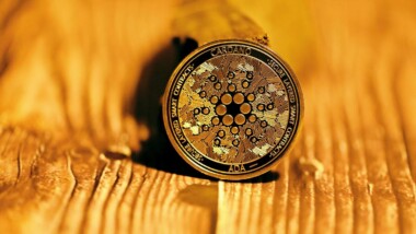 Understanding Hydra Scaling in the Cardano Network