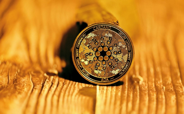 Cardano Network